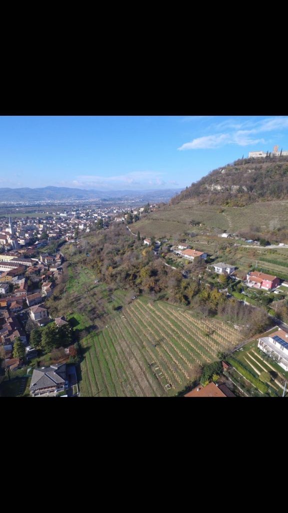 Vista del vigneto Fameja